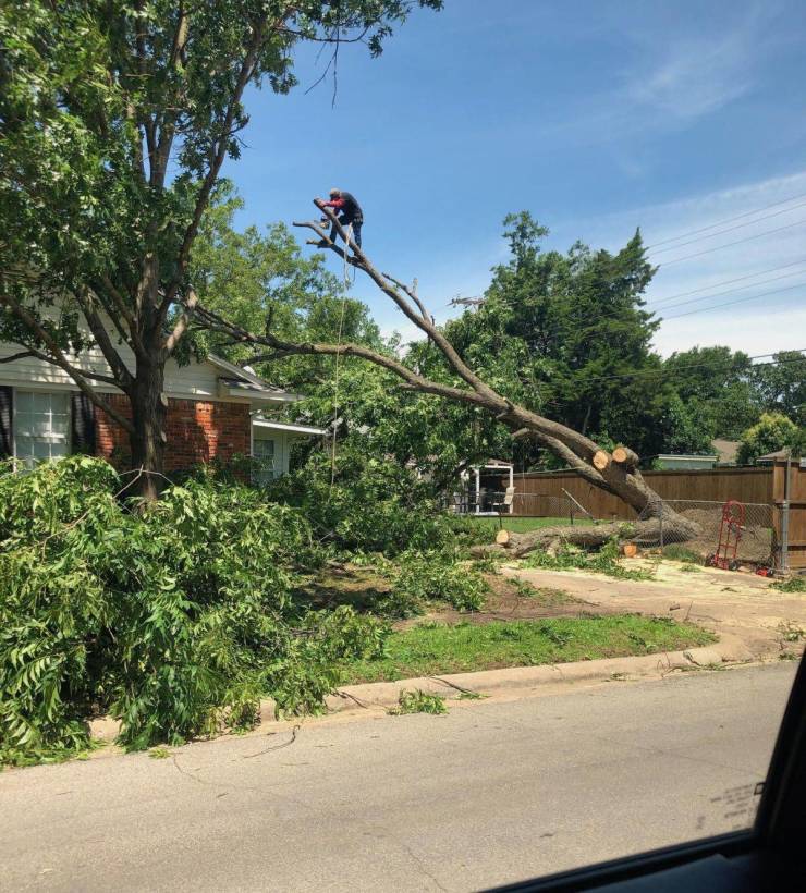 daily picdump 96 pics 30.html - 96 HD Photos | Premium Gallery 2019