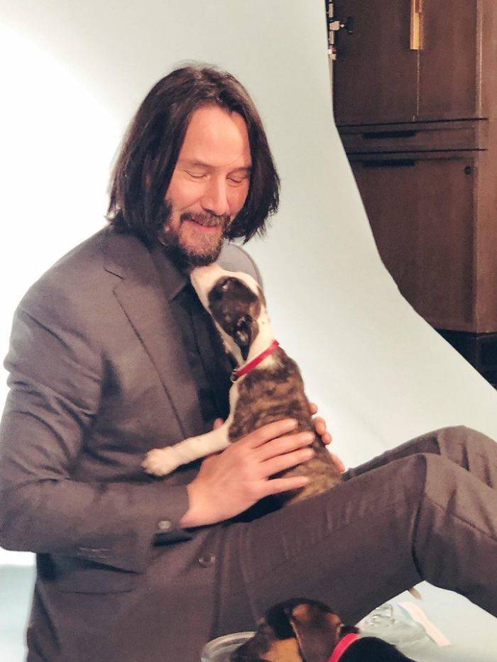 Keanu Reeves And His Hover Hands