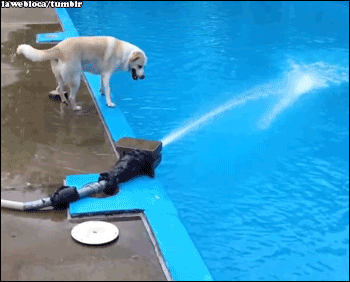 Come, Dive Straight In!