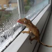 sideboob is the most beautiful view 64 pics.html - 64 HD Photos | Premium Gallery 2018