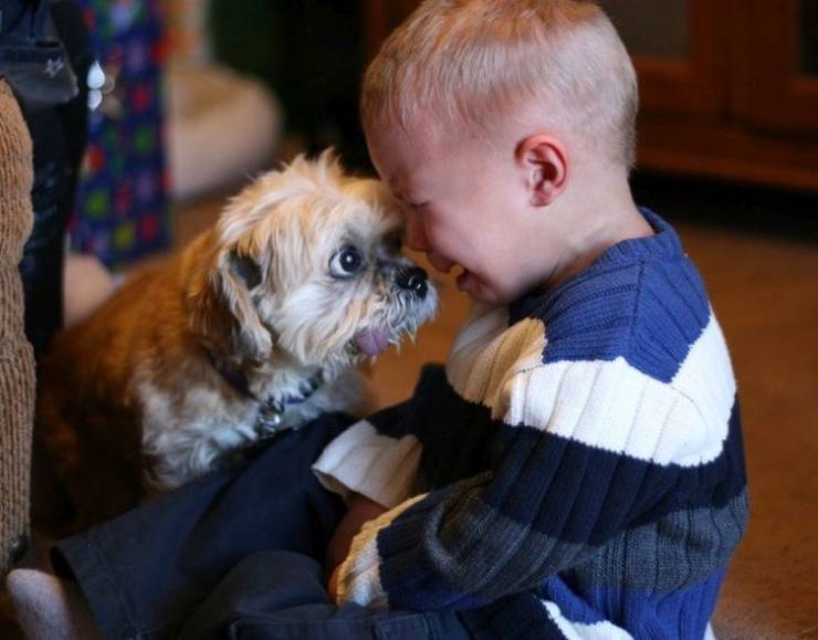 top 100 animals pics of the year 2019.html - 1 HD Photos | Premium Gallery 2019