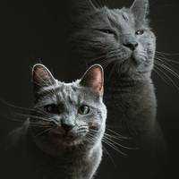 there is nothing sexier than hot girls in lingerie 59 pics.html - 59 HD Photos | Premium Gallery 2020