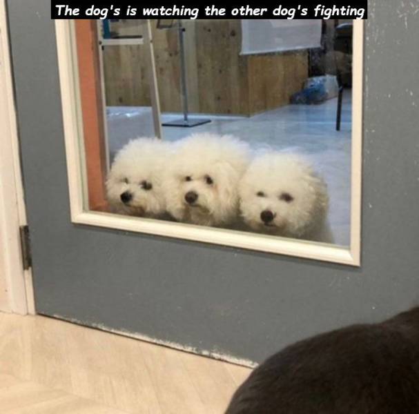 daily picdump 95 pics 17.html - 95 HD Photos | Premium Gallery 2019