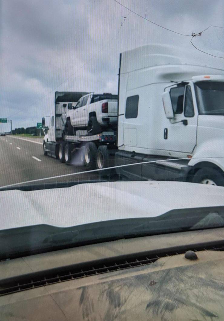 daily picdump 95 pics 17.html - 95 HD Photos | Premium Gallery 2019