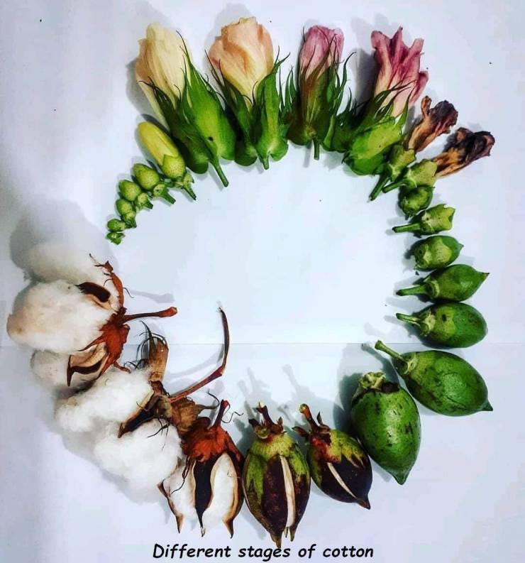 daily picdump 95 pics 17.html - 95 HD Photos | Premium Gallery 2019