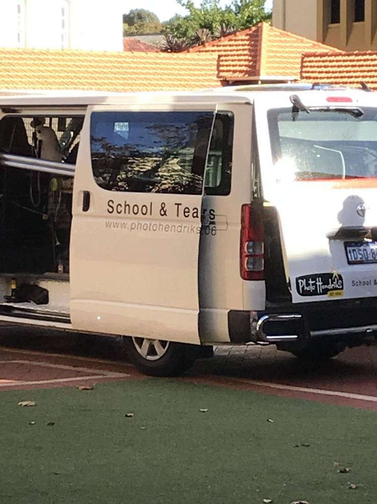 daily picdump 95 pics 17.html - 95 HD Photos | Premium Gallery 2019