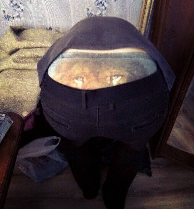 daily picdump 95 pics 17.html - 95 HD Photos | Premium Gallery 2019