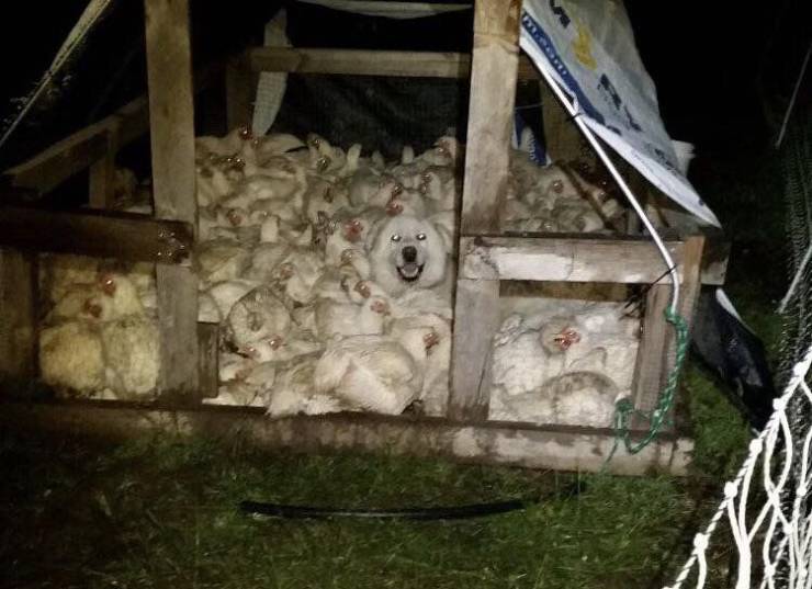 page,9,top 750 daily pics of the year 2019.html - 1 HD Photos | Premium Gallery 2019