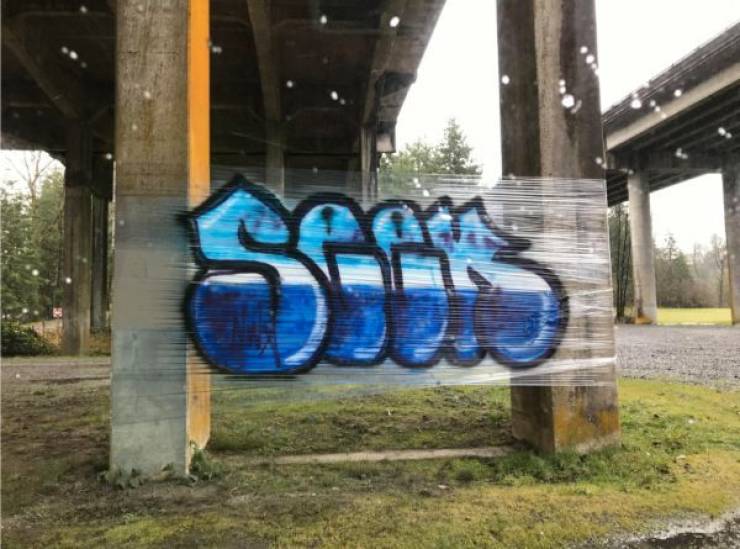 page,2,top 100 interesting pics of the year 2019.html - 1 HD Photos | Premium Gallery 2019