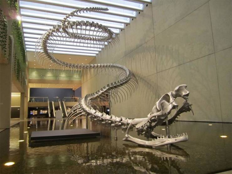 page,3,top 100 interesting pics of the year 2019.html - 1 HD Photos | Premium Gallery 2019