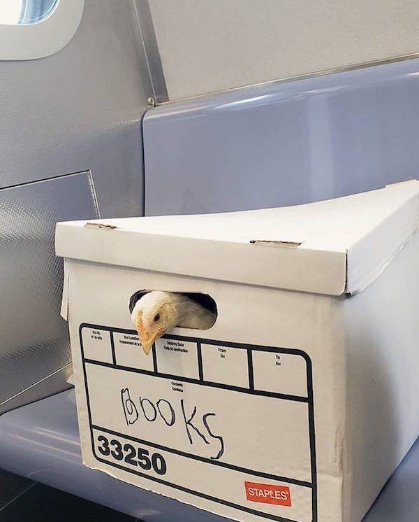 On The Subway, You Can Find Anything