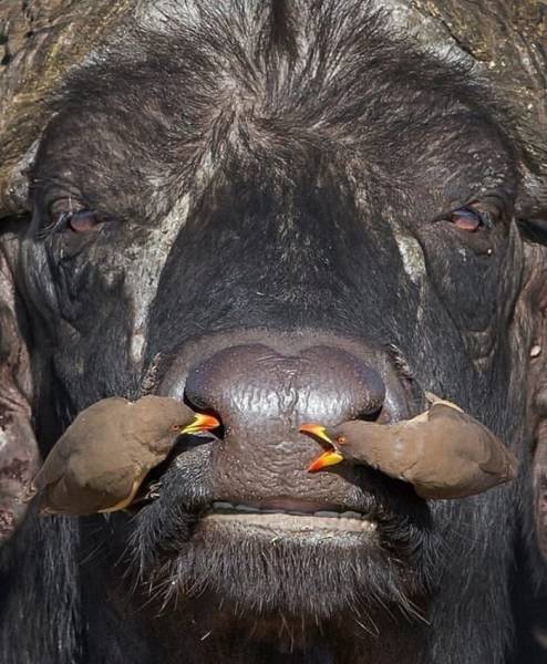 page,7,top 250 morning pics of the year 2019.html - 1 HD Photos | Premium Gallery 2019