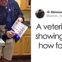 sexy celebs who decided to change how they look 18 pics.html - 18 HD Photos | Premium Gallery 2020