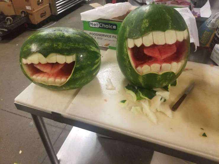 daily picdump weekend edition 50 pics 15.html - 50 HD Photos | Premium Gallery 2019