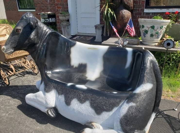 daily picdump weekend edition 50 pics 15.html - 50 HD Photos | Premium Gallery 2019