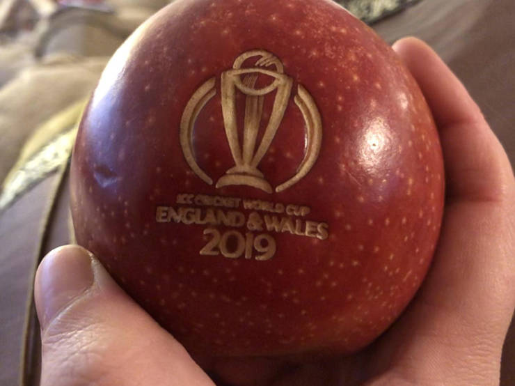 daily picdump weekend edition 50 pics 15.html - 50 HD Photos | Premium Gallery 2019