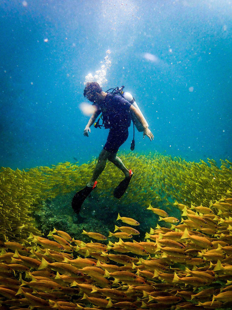 daily picdump weekend edition 50 pics 15.html - 50 HD Photos | Premium Gallery 2019