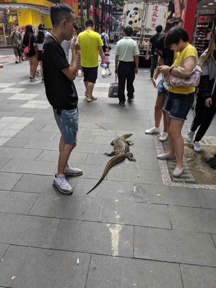 daily picdump 94 pics 16.html - 94 HD Photos | Premium Gallery 2019