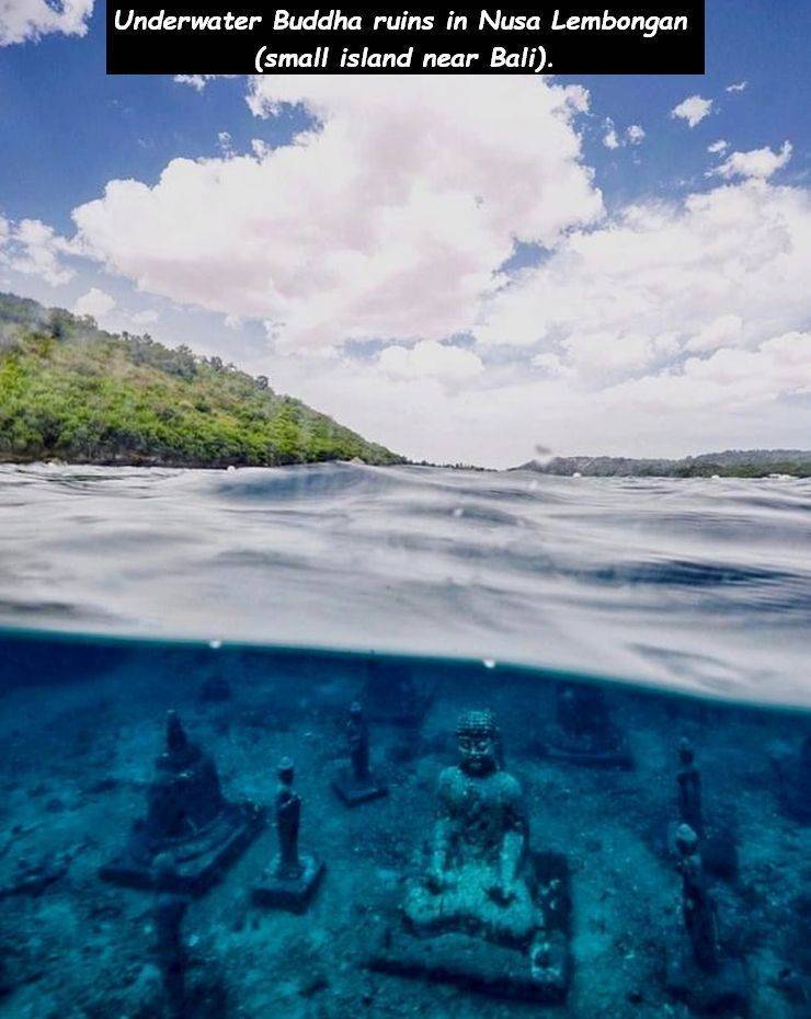 daily picdump 94 pics 16.html - 94 HD Photos | Premium Gallery 2019