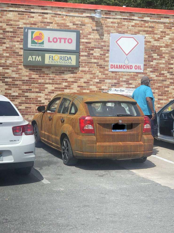 morning picdump 50 pics 5.html - 50 HD Photos | Premium Gallery 2019