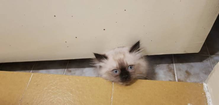 daily picdump 100 pics 29.html - 100 HD Photos | Premium Gallery 2019