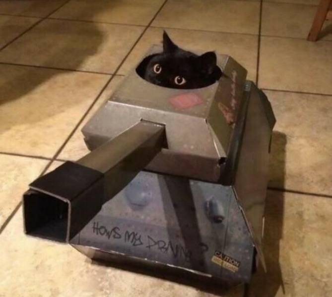 daily picdump 100 pics 29.html - 100 HD Photos | Premium Gallery 2019