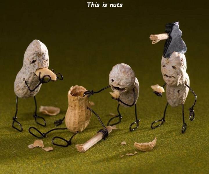 daily picdump 100 pics 29.html - 100 HD Photos | Premium Gallery 2019