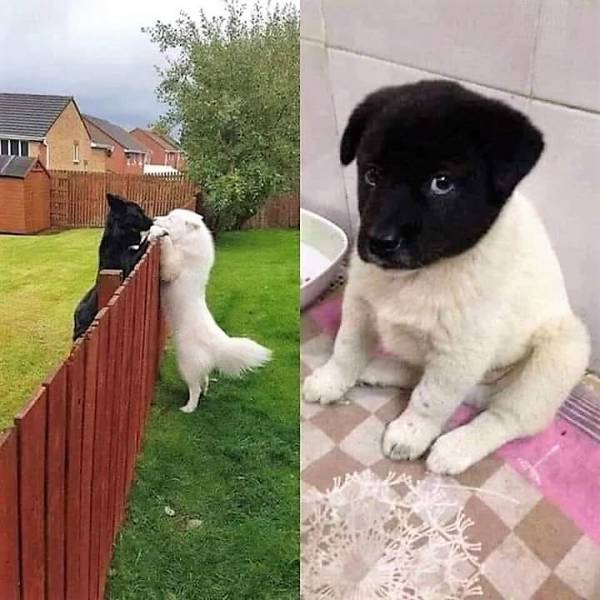 top 750 daily pics of the year 2019.html - 1 HD Photos | Premium Gallery 2019