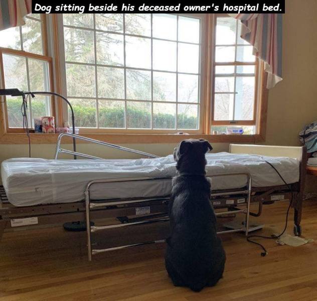 daily picdump 100 pics 29.html - 100 HD Photos | Premium Gallery 2019