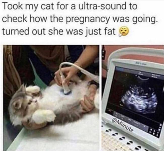 daily picdump 100 pics 29.html - 100 HD Photos | Premium Gallery 2019