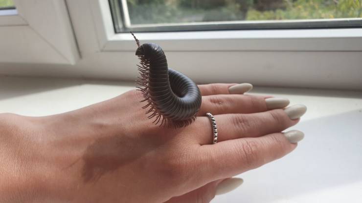 daily picdump 100 pics 29.html - 100 HD Photos | Premium Gallery 2019