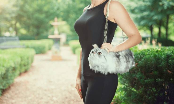 daily picdump 100 pics 29.html - 100 HD Photos | Premium Gallery 2019