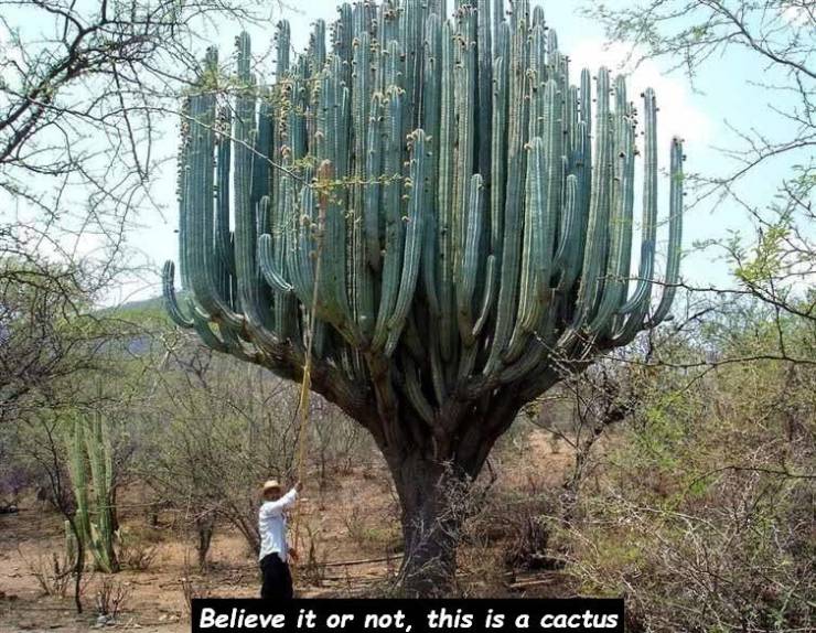 daily picdump 100 pics 29.html - 100 HD Photos | Premium Gallery 2019