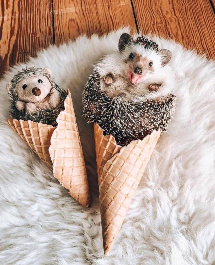 daily picdump 100 pics 29.html - 100 HD Photos | Premium Gallery 2019