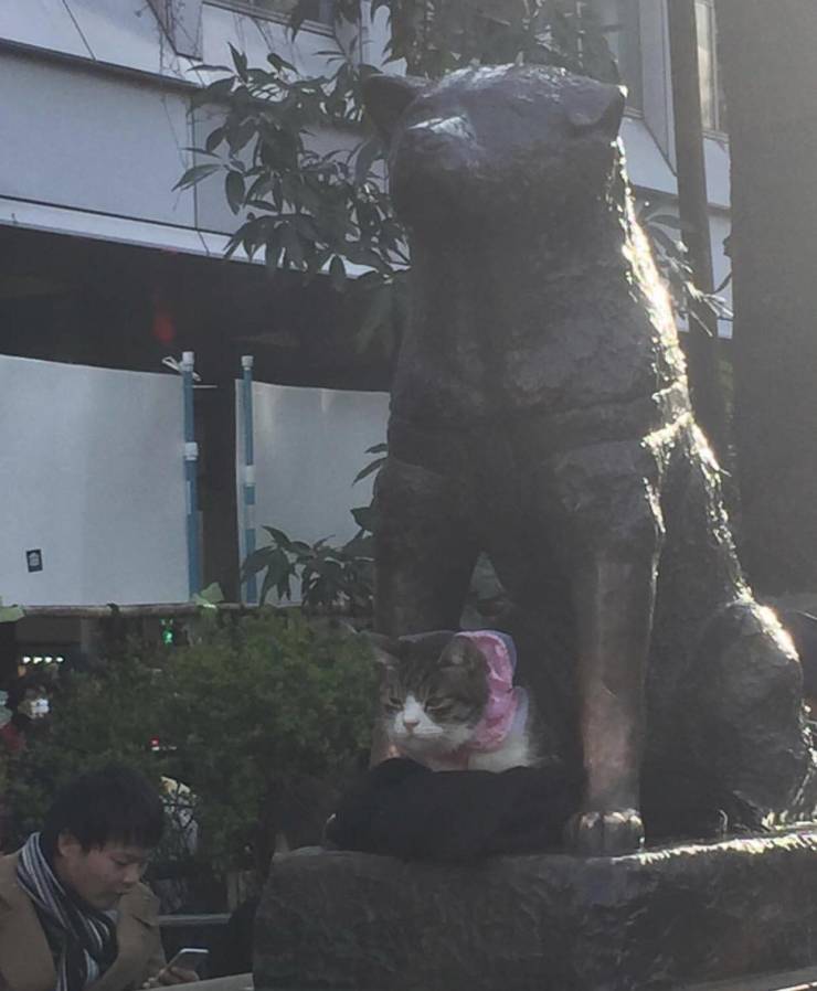 daily picdump 100 pics 29.html - 100 HD Photos | Premium Gallery 2019