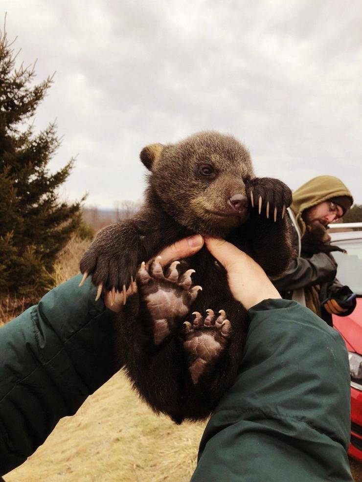 daily picdump 100 pics 29.html - 100 HD Photos | Premium Gallery 2019