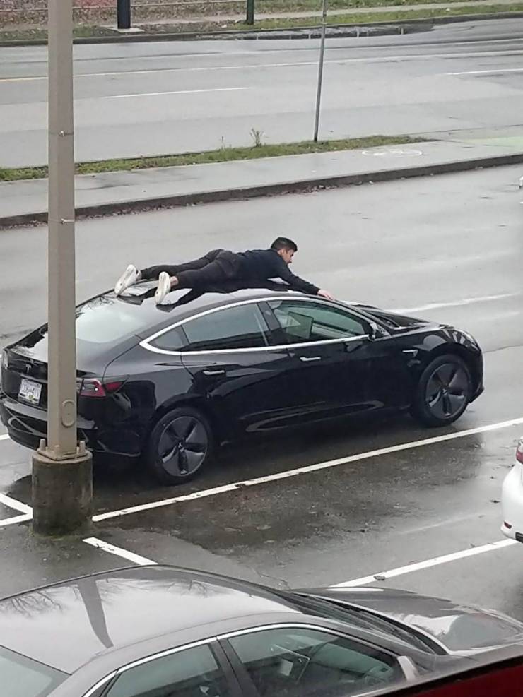 daily picdump 100 pics 29.html - 100 HD Photos | Premium Gallery 2019