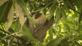 Hold Your Breath, Time For Time-Lapse!