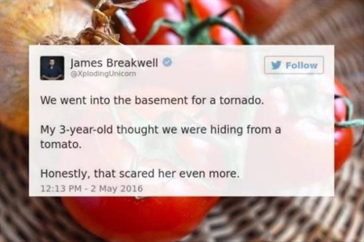 funny picdump 52 pics 21.html - 52 HD Photos | Premium Gallery 2019