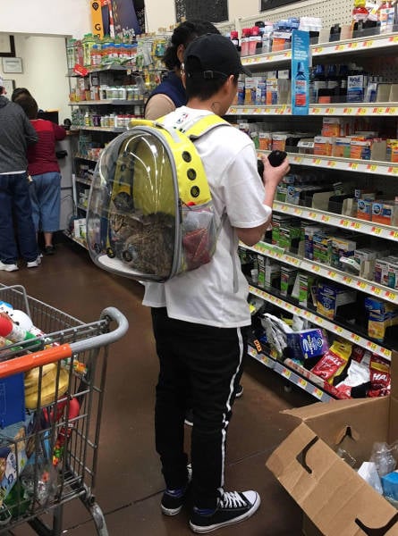 Daily Picdump [WEEKEND EDITION]