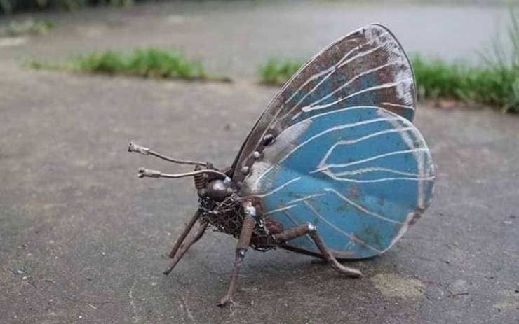 Daily Picdump [WEEKEND EDITION]