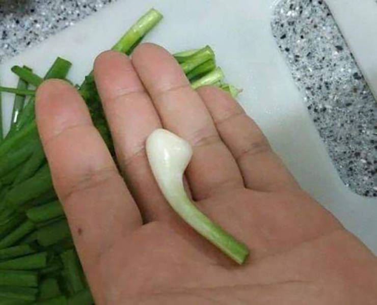 Daily Picdump [WEEKEND EDITION]