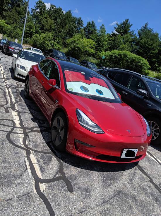 Daily Picdump [WEEKEND EDITION]