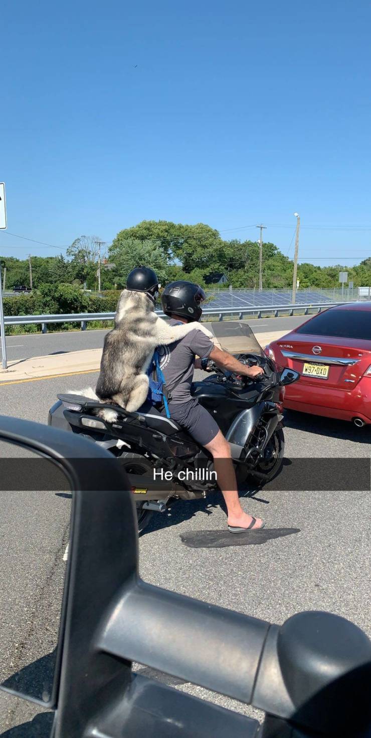 Daily Picdump [WEEKEND EDITION]