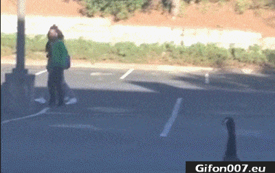 Angry Birds Theme Starts Playing