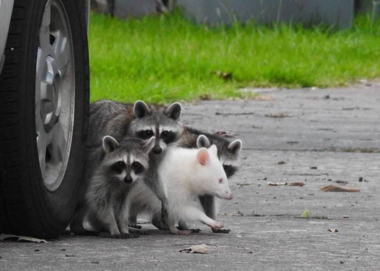 page,15,top 750 daily pics of the year 2019.html - 1 HD Photos | Premium Gallery 2019