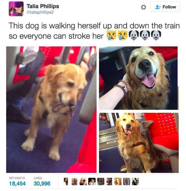 Despite Everything, Life Is Still Fantastic