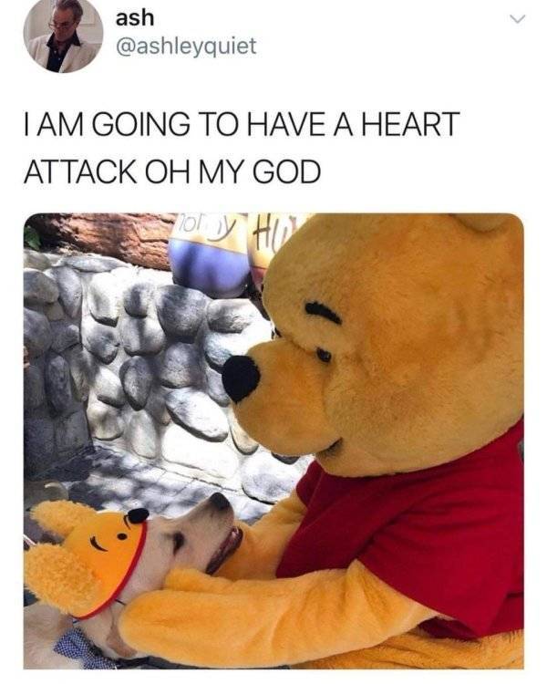 Despite Everything, Life Is Still Fantastic