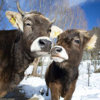 guy wanted to turn into a black alien 9 pics.html - 9 HD Photos | Premium Gallery 2019