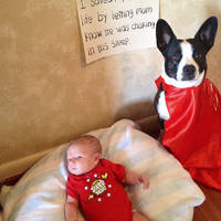 simple yet very sexy 5 pics 13 gifs.html - 5 HD GIF | Premium Gallery 2020